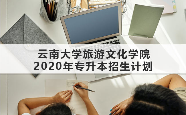 云南大学旅游文化学院2020年专升本招生计划