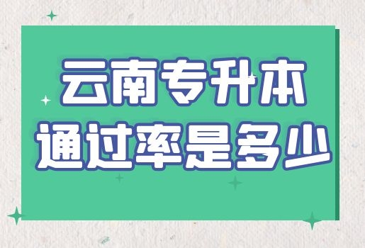 云南专升本通过率是多少？